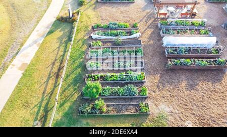 Giardino comunitario con pergola e fila di letti rialzati vicino al sentiero del parco a Dallas, Texas, Stati Uniti Foto Stock