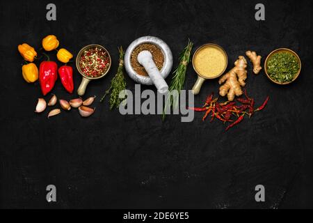 Composizione con miscela di peperoni, zenzero, aglio, timo, peperoncino e rosmarino su fondo scuro Foto Stock