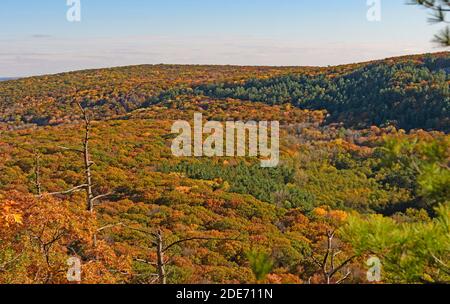 Colori autunnali che eruttano sulle colline del Devils Lake state Parco nel Wisconsin Foto Stock