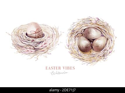 Acquerello happt nido di pasqua con uova di uccello con ramificazione e piuma. Illustrazione a mano della molla. Uovo di boho e nidi di piuma wreath. Decorazione di festa Foto Stock