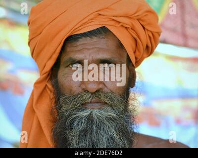 L'uomo santo indiano dall'aspetto serio (sadhu, baba, guru) indossa un turbante colorato con zafferano e pone per la macchina fotografica durante il festival Shivratri Mela.