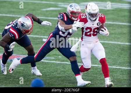 Foxborough, Stati Uniti. 29 Nov 2020. Arizona Cardinals Running back Chase Edmonds (29) è sparato fuori dai limiti dal lineman difensivo dei Patriots del New England Byron Cowart (99) su un carry nel secondo trimestre al Gillette Stadium a Foxborough, Massachusetts domenica 29 novembre 2020. Foto di Matthew Healey/UPI Credit: UPI/Alamy Live News Foto Stock