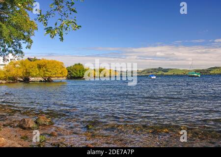 Vista sul lago in autunno, miglio Bay, il lago Taupo, Taupo, regione di Waikato, Isola del nord, Nuova Zelanda Foto Stock