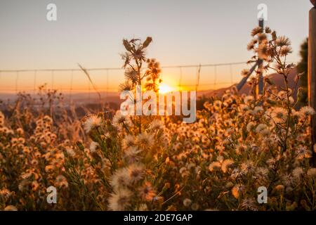 Tramonto in montagna. Splendida vista del tramonto. Foto Stock