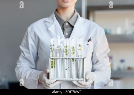 Ritratto troncato di giovane scienziata femminile che tiene provette con campioni di piante mentre si lavora alla ricerca in laboratorio biotecnologico, copy space Foto Stock