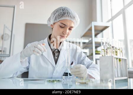 Vista frontale ritratto di giovane scienziata femminile che esegue esperimenti con campioni di piante mentre si lavora alla ricerca in laboratorio biotecnologico, copia spazio Foto Stock