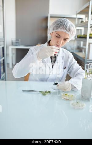 Ritratto verticale di una giovane scienziata che esegue esperimenti con campioni di piante mentre lavora alla ricerca in laboratorio biotecnologico, copia spazio Foto Stock