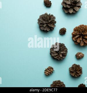Coni di pino asciutto su sfondo azzurro. Posa piatta, vista dall'alto, spazio copia Foto Stock