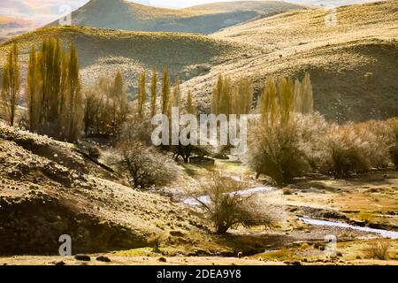 Fiume che attraversa la steppa patagonica a Neuquen, in Argentina, vicino alla catena montuosa delle Ande. Foto Stock