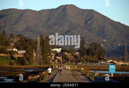 Vista sul monte Tamalpais nella contea di Marin Foto Stock