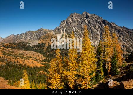 WA18606-00...WASHINGTON - Monte Stuart dal sentiero Ingalls Way passando da boschi di larici alpini nella zona selvaggia dei laghi alpini. Foto Stock