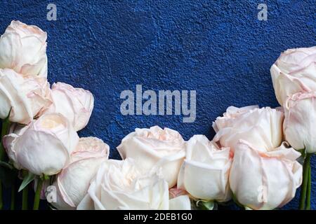 Delicato rosa chiaro rosa rose sfondo blu scuro stucco closeup, bel bouquet di fiori bianchi, biglietto di auguri di compleanno, giorno valentines romantico design Foto Stock