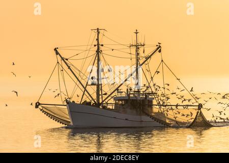 Barca da pesca sul Mare del Nord con reti da traino al tramonto, Buesum, Mare del Nord, Schleswig-Holstein, Germania Foto Stock