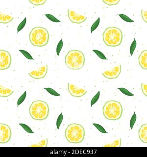 Verde yuzu giapponese citron frutta senza cuciture modello illustrazione vettoriale isolato su sfondo bianco. Illustrazione Vettoriale