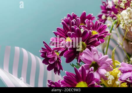 Bouquet di fiori casuali in un involucro a righe su sfondo azzurro. Primo piano sui crisantemi viola e rosa. Caratteristiche, bouquet di nozze Foto Stock