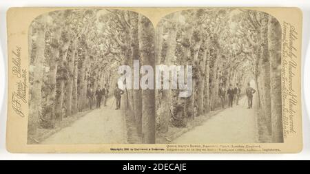 Stampa in argento albume; stereo Foto Stock