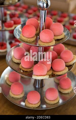 Puffs. Palle di mousse al gusto di fragola su una base di biscotto Foto Stock