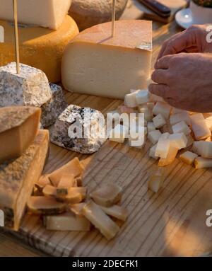 Assortimento di formaggi prodotti caseari di capra, pecora e vacca Foto Stock