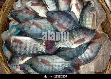 Assortiti locali del Bangladesh pesci. Khulna, Bangladesh. Foto Stock