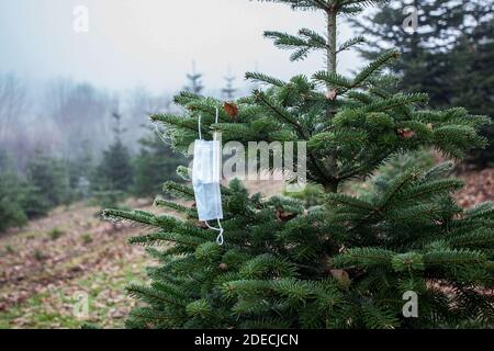 Bamberg, Germania 28 novembre 2020: Simboli - Coronavirus - 28 novembre 2020 UNA protezione per bocca e naso pende in un abete | uso in tutto il mondo Foto Stock