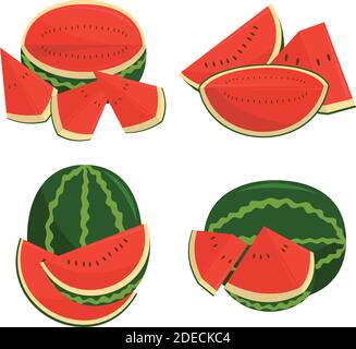 Cocomero frutta e pezzi Illustrazione Illustrazione Vettoriale