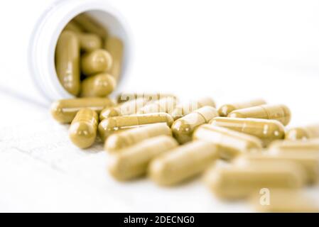 Primo piano di erbe medicinali naturali biologici da Abiana asiatica amaro pianta di cetriolo o di zucca sotto forma di capsule Foto Stock