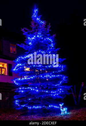 Albero di Natale illuminato in giardino Foto Stock
