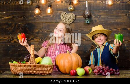 Agricoltura insegna ai bambini dove il loro cibo proviene da. Azienda agricola a conduzione familiare. I fratelli avendo divertimento. Bambini presentando farm raccolto lo sfondo di legno. Mercato di fattoria. Gli agricoltori per bambini ragazza ragazzo verdure raccolto. Foto Stock