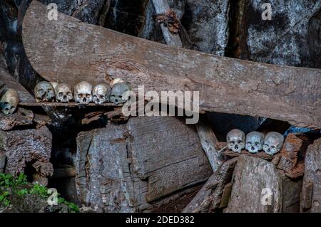 Teschi e bare antenati, cimitero tradizionale, Londa, Tana Toraja, Sulawesi del Sud, Indonesia Foto Stock