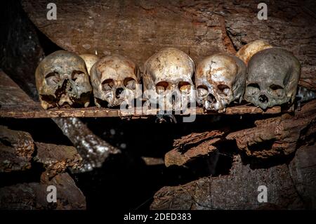 Teschi e bare antenati, cimitero tradizionale, Londa, Tana Toraja, Sulawesi del Sud, Indonesia Foto Stock