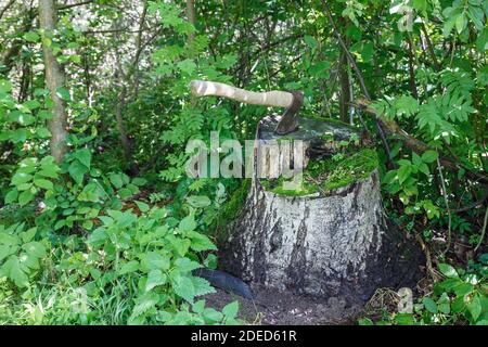 AX nel moncone. Un'ascia di ferro con un manico di legno bloccato in un ceppo di albero Foto Stock