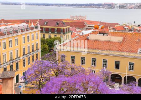 Paesaggio urbano di Lisbona con l'albero viola di jacaranda in fiore - quartiere di Alfama. Foto Stock