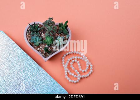 Succulenti cresciuti in una pentola a forma di cuore contro sfondo di colore corallo. Foto Stock