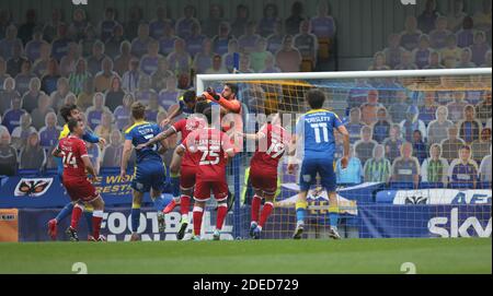 I fan dei cartoni scagliati guardano l'azione dallo stand durante la partita della fa Cup, partita tra AFC Wimbledon e Crawley Town a Plough Lane a Wimbledon, mentre ai tifosi è ancora vietato guardare il calcio professionistico in Inghilterra il 29 novembre 2020. Foto Stock