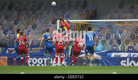 I fan dei cartoni scagliati guardano l'azione dallo stand durante la partita della fa Cup, partita tra AFC Wimbledon e Crawley Town a Plough Lane a Wimbledon, mentre ai tifosi è ancora vietato guardare il calcio professionistico in Inghilterra il 29 novembre 2020. Foto Stock