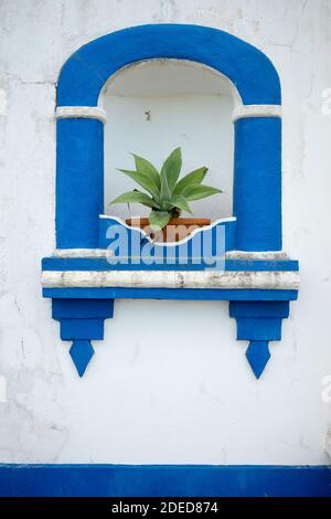 Arco blu con pianta, Portogallo Foto Stock