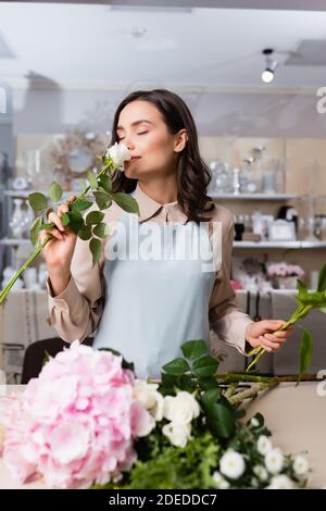 Fiorista soddisfatto con gli occhi chiusi che odorano la rosa, mentre componendo bouquet su sfondo sfocato Foto Stock