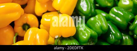 un mucchio di peperoni dolci verdi e gialli come sfondo. banner Foto Stock