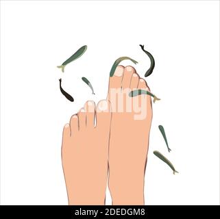 Peeling con pesce Garra Rufa. Pedicure in un salone di bellezza. Trattamento spa con pesce. Cura delle gambe. Illustrazione Vettoriale