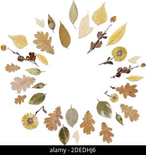 cornice rotonda o corona fatta di foglie d'autunno realistiche. Autunno foglia caduta. Illustrazione Vettoriale