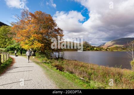 Persone che camminano con cani sul sentiero intorno a Grasmere nel Lake District. Il sentiero popolare sia tra i turisti per una passeggiata e gli escursionisti Foto Stock