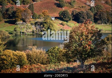 Loughrigg Tarn vicino Skelwith Bridge nel Lake District Foto Stock