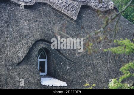 Dettaglio di un tetto di paglia, Lincolnshire, Inghilterra, Regno Unito Foto Stock