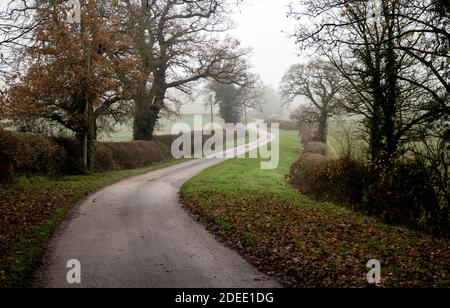Una tortuosa corsia di campagna in una giornata misteriosa a novembre, Warwickshire, Inghilterra, Regno Unito Foto Stock