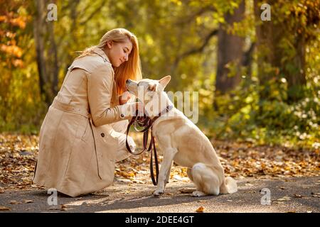 donna che cammina nella foresta autunnale con il cane compagno, si siede a giocare con l'animale domestico, stroking. vista laterale Foto Stock