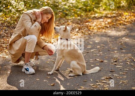 donna e simpatico cane nella foresta, bionda caucasica femmina in mantello tra foglie caduti al sole giorno d'autunno Foto Stock