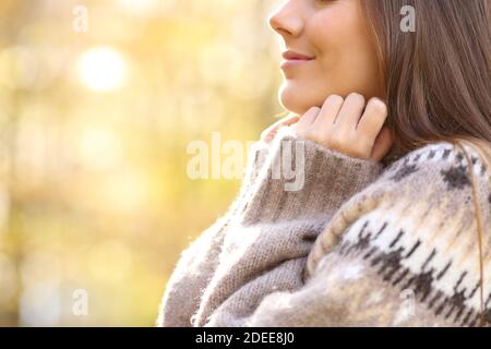 Primo piano delle mani donna che riscaldano il colletto maglione di presa dentro autunno freddo in un parco Foto Stock