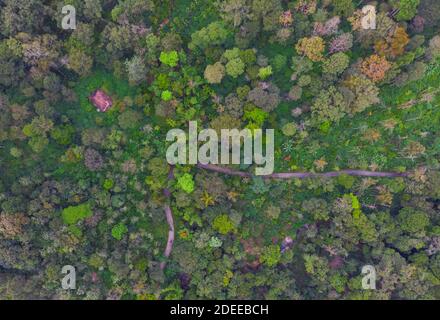 Coorg Landscape - Vista aerea (Karnataka, India) Foto Stock