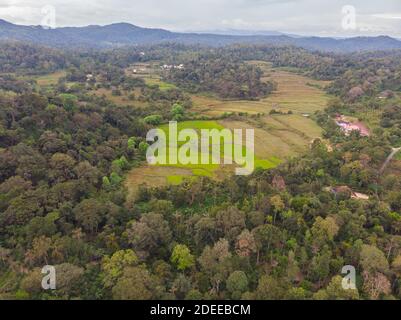 Coorg Landscape - Vista aerea (Karnataka, India) Foto Stock