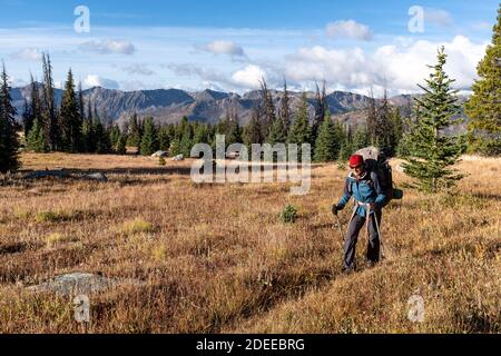 WA17713-00..... WASHINGTON - Woman backpacking lungo il Boundary Trail n. 533 nella natura selvaggia di Pasayten, Okanogan Wenatchee National Forest. Foto Stock